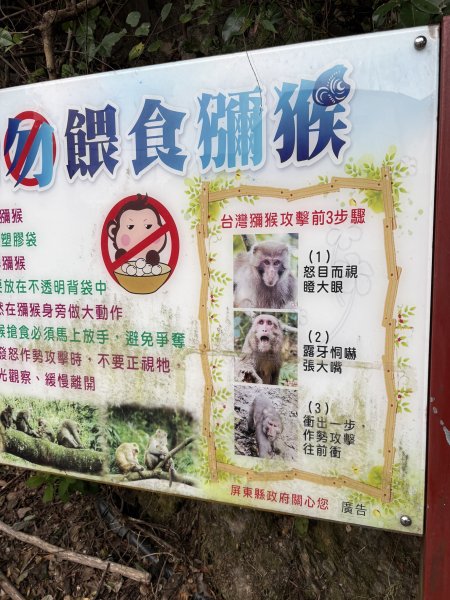 20251227尾寮山登山步道2970482