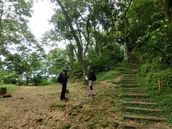 銀河洞瀑布．待老坑山．樟湖步道127898