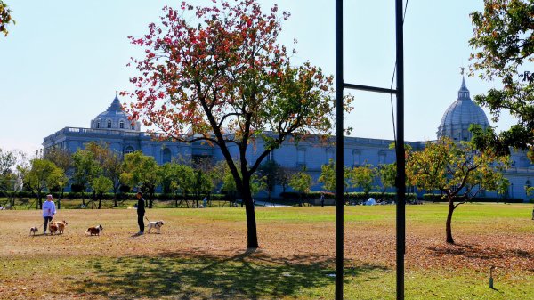 琴弦上的白宮2987565