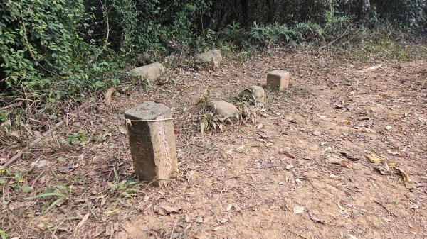 20251218犁頭山-吧哩國山主東峰-石頭坑山西南峰-石頭坑山2967013