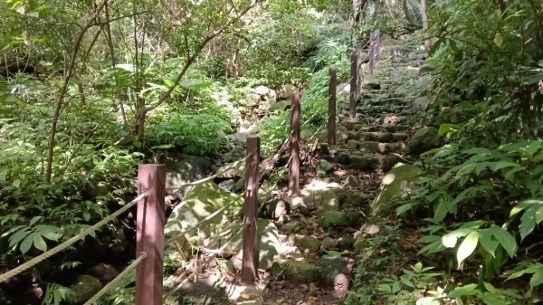 金山區大路崁古道-土地公步道-兩湖保甲路-水圳路3121317