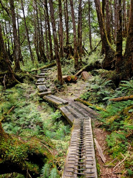 翠峰湖環山步道-(宜蘭)臺灣百大必訪步道2827556