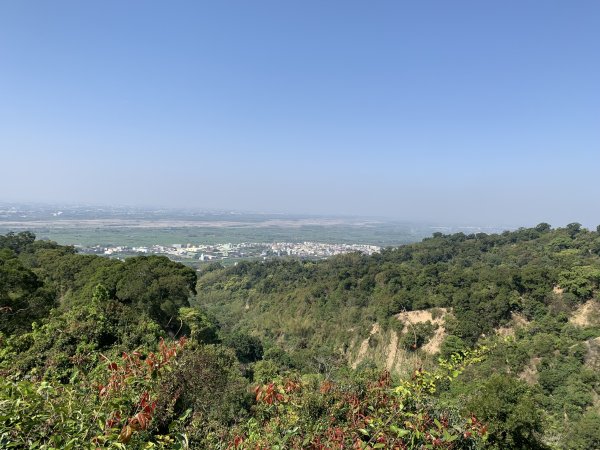 20250322南投松柏坑山-大棚山2745853