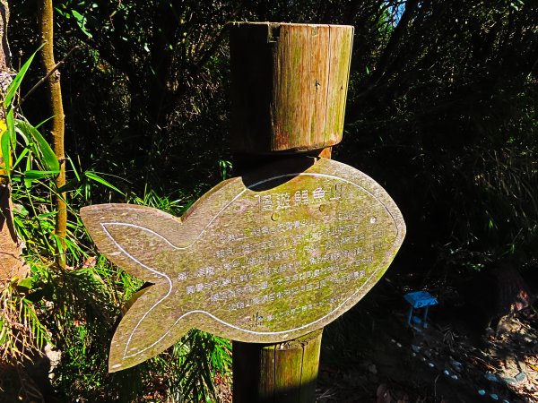 龍年首登的好選擇，鯉躍龍門，搭捷運來內湖爬三尖，鯉魚山、忠勇山、圓覺尖2426576