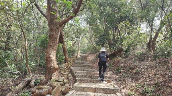 《台中》悠然雅緻｜后里毘盧禪寺小O精華步道202504042752326