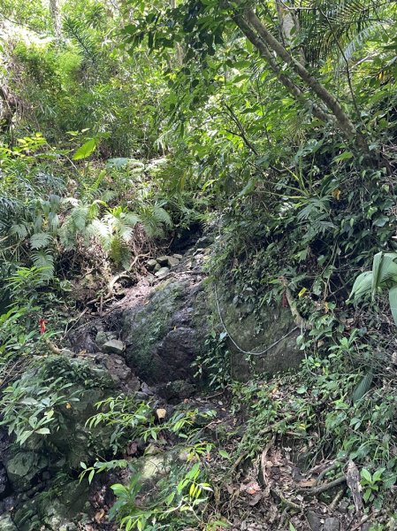 紅頭山大天池2893960