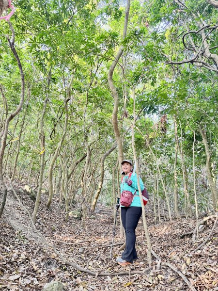 16年後重逢糖子恩山   2026.3.253026321