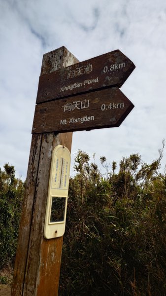 20260125 陽明山前後山健行(無極天元宮~山仔頂步道.向天池.向天山.面天山.二子坪)2998021