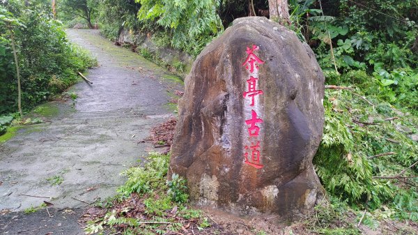 2026樟之細路 | 第二大段 | 關西~橫山3041814