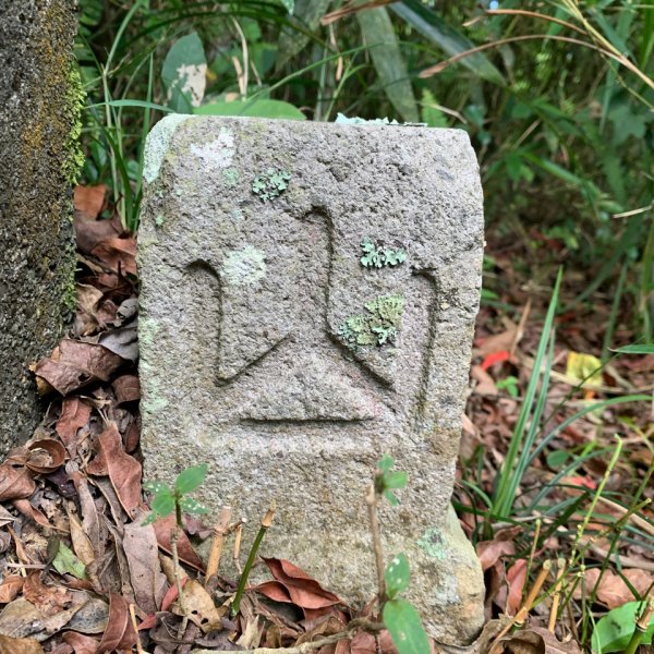 20240525高雄番子寮山-番子寮山主峰2517789