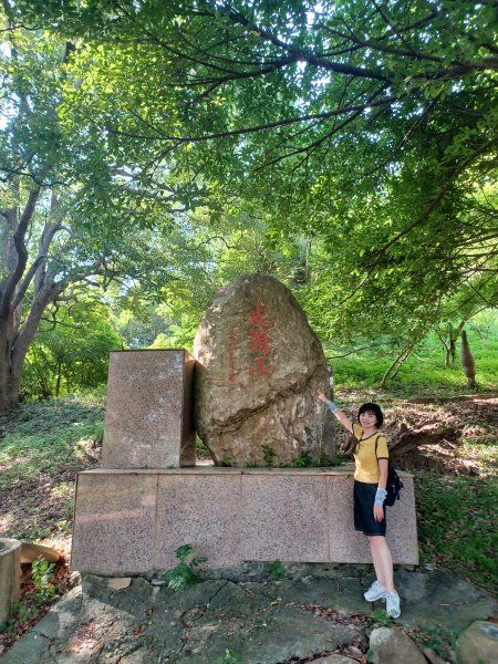 【苗栗新竹】通霄神社x通霄虎頭山步道x新竹香山濕地賞蟹步道2925421
