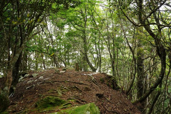 新竹 五峰 油羅山、霞山2798309