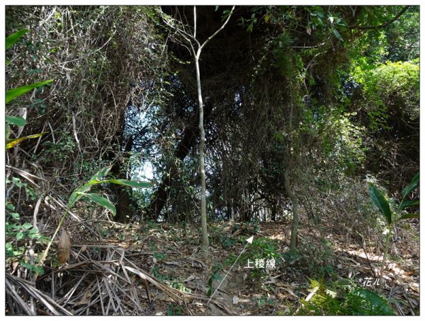 坪林山/台中-太平1283413