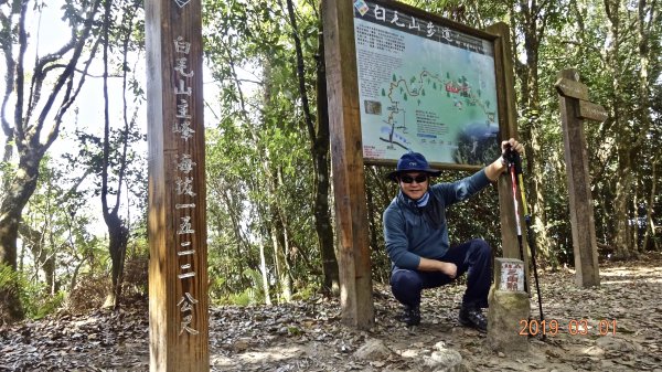 谷關七雄白毛山步道590485