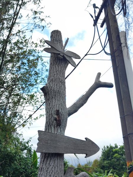 九讚頭車站-大崎棟.茶亭.逃學.騎龍古道20幾K繞大O2972543