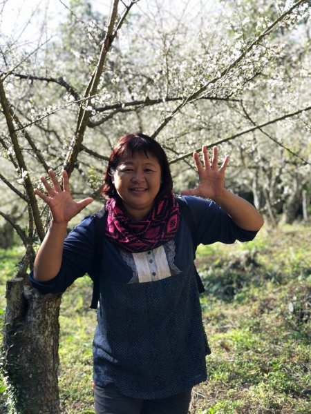 竹子尖山到獵鷹山473234