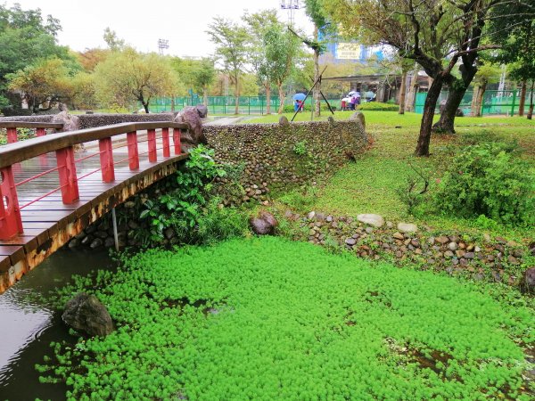 【宜蘭。羅東】綠意盎然~羅東運動公園768321