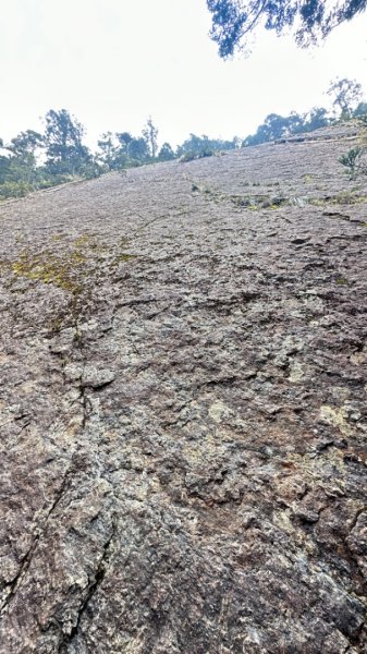 東埔-排雲-玉山西峰-玉山主峰2753173