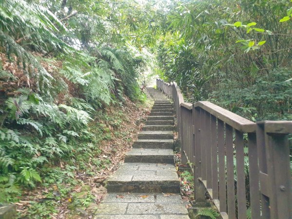 臺北大縱走第六段1516084