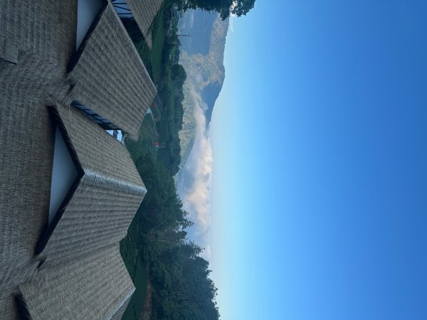 嘉義大凍山大塔山+紅毛埤山3067148