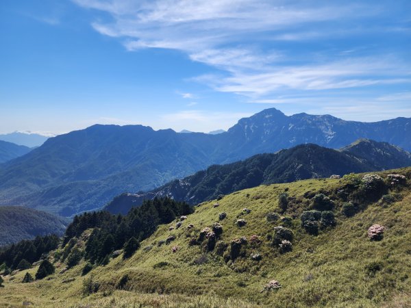 百岳No.35⛰合歡東峰2498795