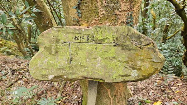 20260127三通嶺山.三義山(大桁茂山).慈濟山.大坪山大O走2989955