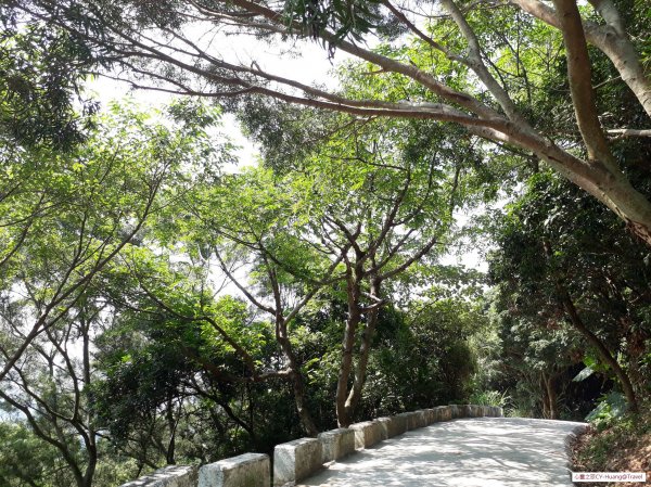 台中太平三汀山登山步道20181021439433