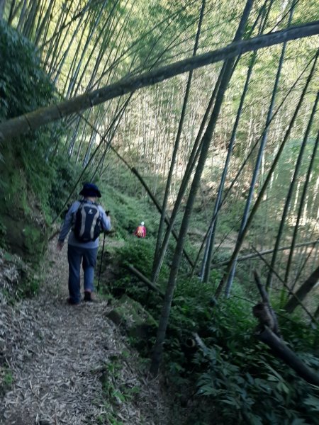 四天皇山知鳥山青園山篤鼻山1264659