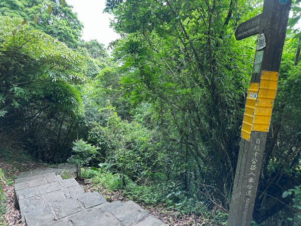 台北大縱走第二段2786954