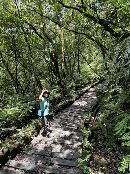 大崙頭山 2025/05/302811057