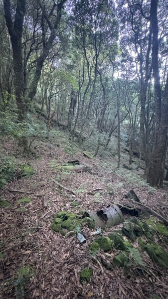 加里山東南峰2867933