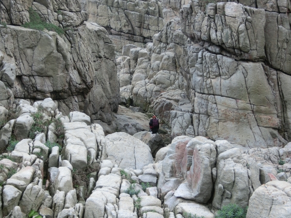 龍洞灣岬步道．龍洞攀岩場92458