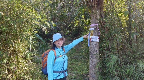 (姨婆趴趴走)第四十九集:攀登連走宜蘭梗枋山、橋板湖山2747712