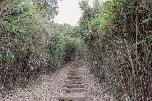 [台北]大屯山2693388