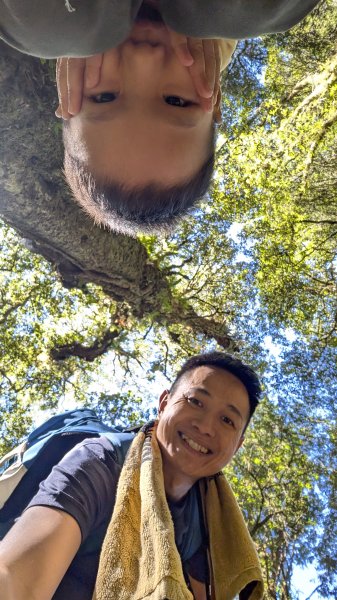 八仙山主峰步道3012300