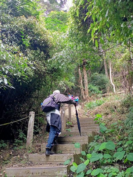四訪苗栗的花果山-小百岳#037馬那邦山、雪霸國家公園管理處【小百岳集起來、苗栗-臺灣百大必訪步道】2394327