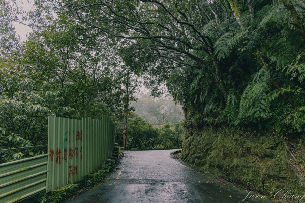 [新北]二格山2730231