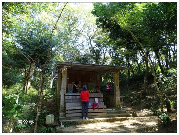 大溪/溪洲山步道(小百岳)740655