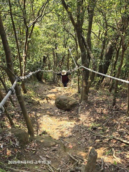 2026-04-11微笑山線：【二格山系】筆架連峰段3034585