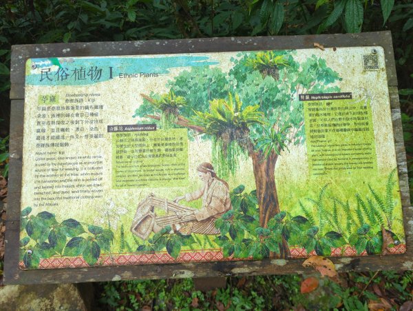 2025.01.10－松羅國家步道2981168