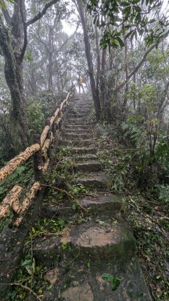 113.11.02颱風過後的二格山之行2641538