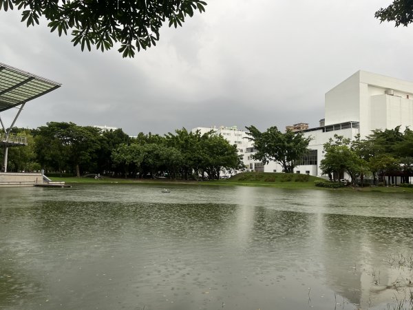 [全臺走路趣尋寶-25/100] 2024_0706_南瀛綠都心公園2546353