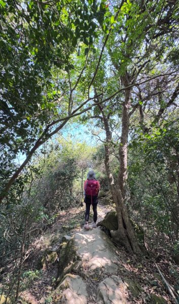 旗尾山(小百岳#)722765477