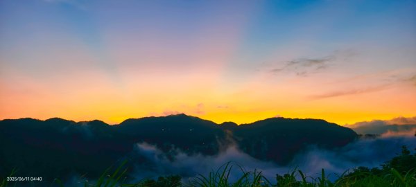 跟著雲海達人山友追雲趣 #草莓月亮 #月圓雲海 #霞光 #日出雲海 #茶園 6/112808825
