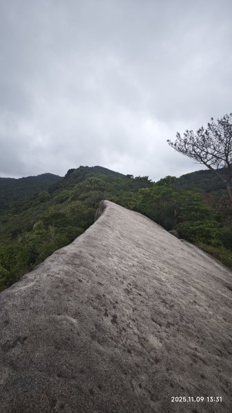 20251109 士林站到大湖站(福山宮_腰繞_燕溪古道_翠山步道_龍船岩_大溝溪)2932364