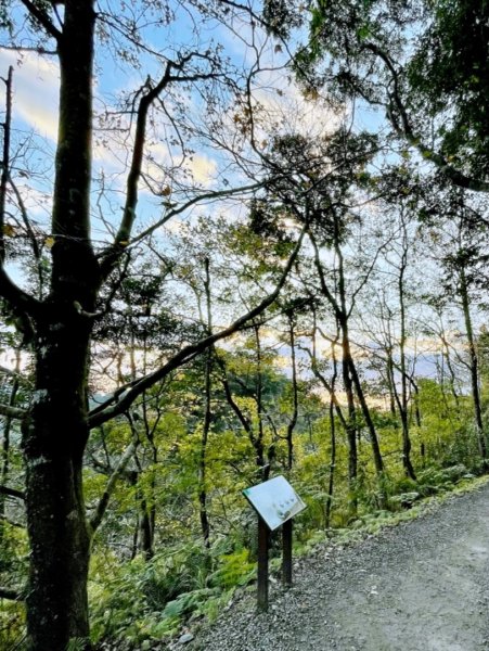 20220116_宜蘭中央公園、冬山河親水公園、林美盤石步道、羅東梅花湖步道1583971