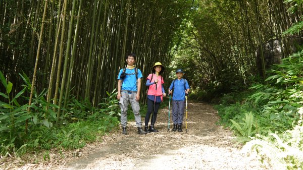 鵝公髻山登山健行趣(小百岳31號)1524805