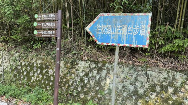 20240429 桃園復興枕頭山薑母島2492297