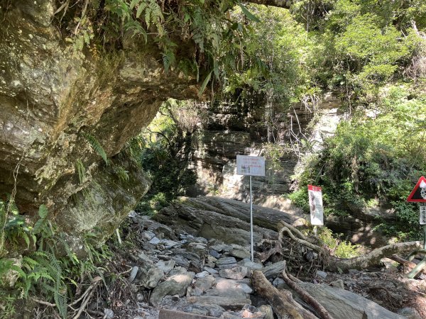[玉山尋寶任務-03/12] 2025_0810 瓦拉米步道2857492
