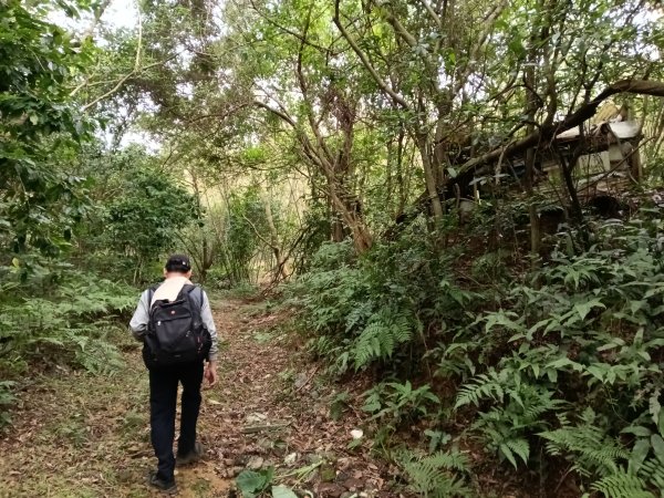基隆市三層山+湳子大崙+淡基橫斷古道+面桶寮土地公2982263